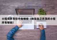 小程序开发软件有哪些（微信自己开发的小程序有哪些）