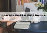 软件开发的公司有多少家（软件开发有名的公司）