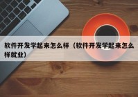 软件开发学起来怎么样（软件开发学起来怎么样就业）