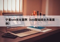 宁夏seo优化案例（seo整站优化方案案例）