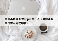 微信小程序开发appid是什么（微信小程序开发id码在哪看）