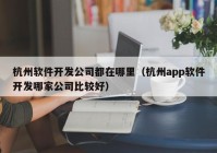 杭州软件开发公司都在哪里（杭州app软件开发哪家公司比较好）