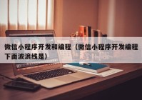 微信小程序开发和编程（微信小程序开发编程下面波浪线是）