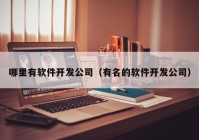 哪里有软件开发公司（有名的软件开发公司）