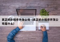 真正的小程序开发公司（真正的小程序开发公司是什么）