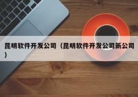 昆明软件开发公司（昆明软件开发公司新公司）