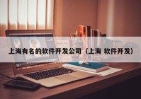 上海有名的软件开发公司（上海 软件开发）