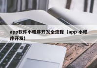 app软件小程序开发全流程（app 小程序开发）