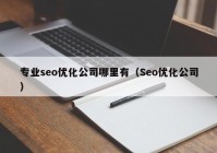 专业seo优化公司哪里有（Seo优化公司）