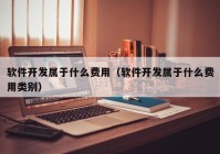 软件开发属于什么费用（软件开发属于什么费用类别）