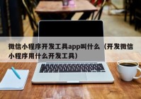 微信小程序开发工具app叫什么（开发微信小程序用什么开发工具）