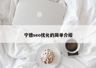 宁德seo优化的简单介绍