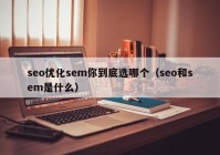 seo优化sem你到底选哪个（seo和sem是什么）