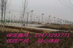 怎样进行太阳能路灯系统设计-怎样选购太阳能路灯---太阳能光板选购案例